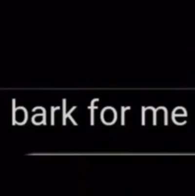 😨 Hav