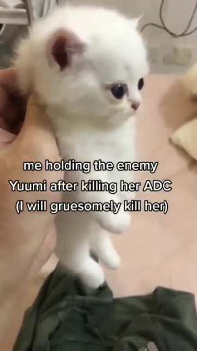 yuumi🤮