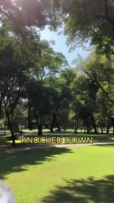 Knocked Down