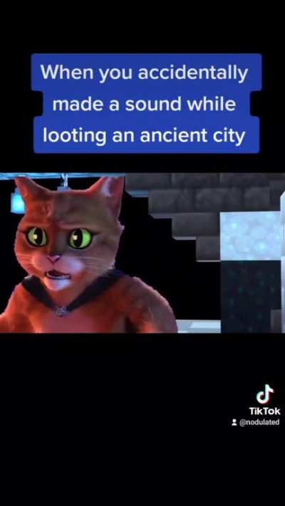 puss in danger