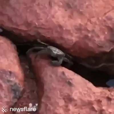 Don't mess with him