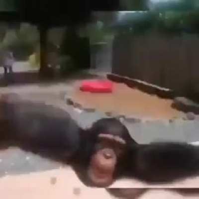 Monke