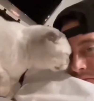 Lick