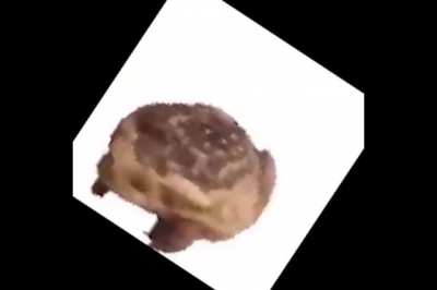 Trochu som sa nudil