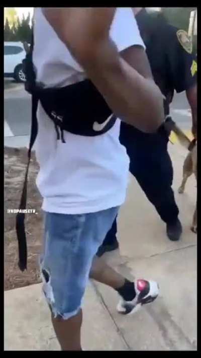 even the dog knows who the aggressor is