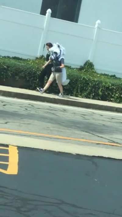 Just taking the dog on a stroll to the bike path