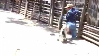 POV: Estás viendo la pelea de Carlos Trejo vs Alfredo Adame
