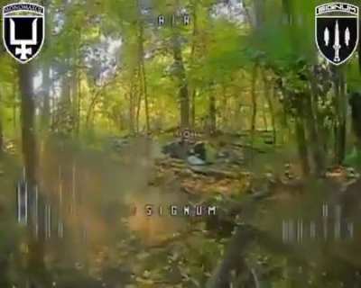 A Signum Unit drone operator flies expertly through dense foliage hunting for russian infantry.