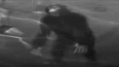 the chimp is gone