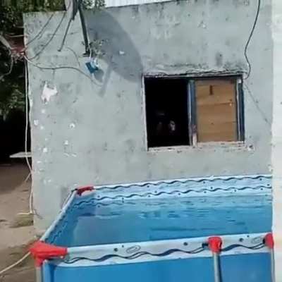 PAPURRI SE METIO POR LA VENTANA COMO UNA VIEJA CHUSMA!!!!