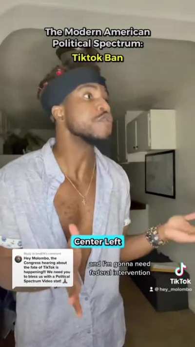 The Modern American Political Spectrum: TikTok Ban