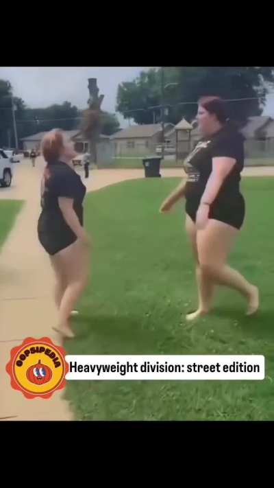 Heavyweight division: street edition 🥊🥊