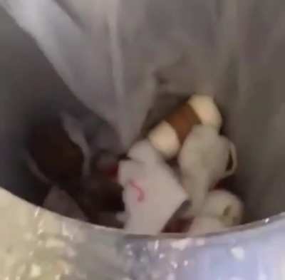 Don’t put your head in a bin