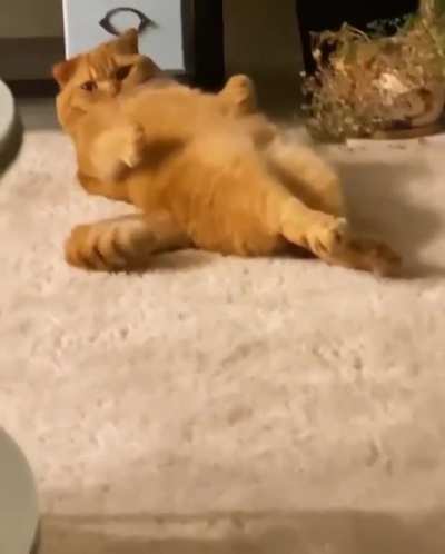 Sunday mood
