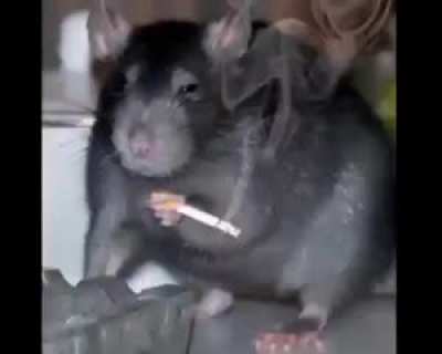 😔😔