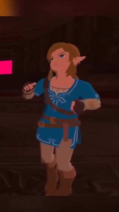 [BotW] Some obscure canon event