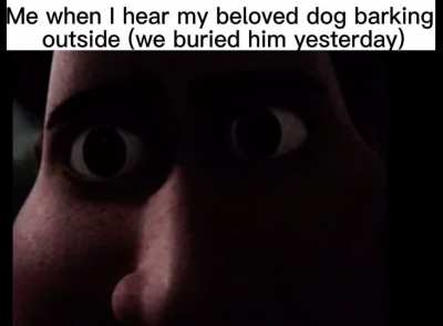 PetSematary_irl