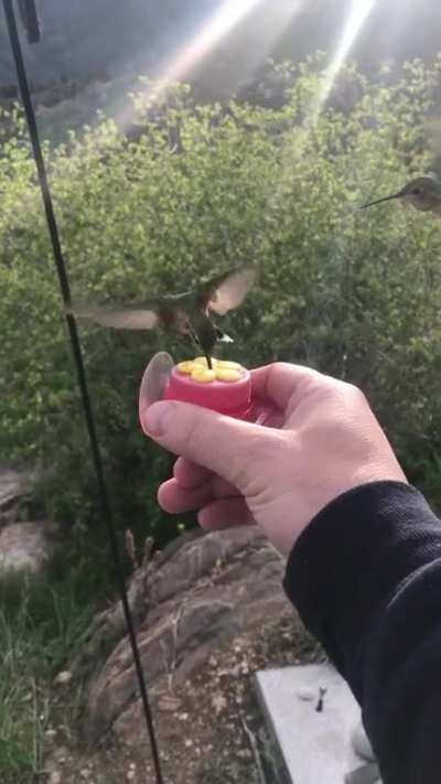Magical