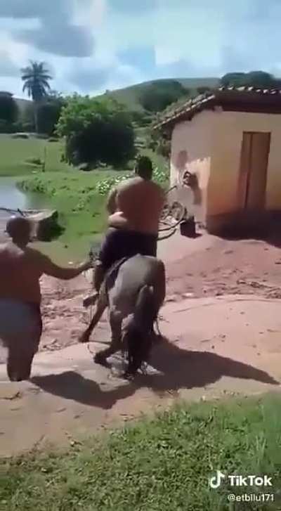 Mounting a horse: Level 100