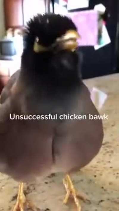 Getting the bawk just right