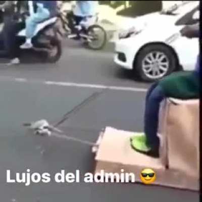Lujitos😎