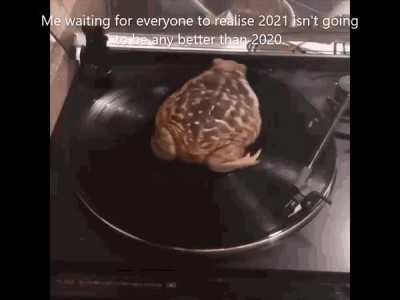 ₂0₂1 wIlL bE a BeTtEr YeAr.