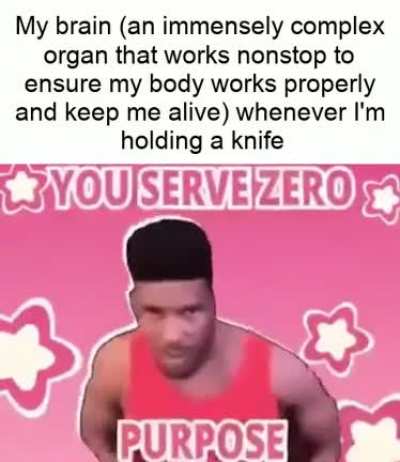 This meme was honestly just an excuse to use this video