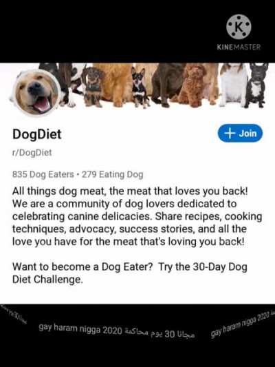dog eat haram???! زنجي البيض الحرة dre 2020 free trial