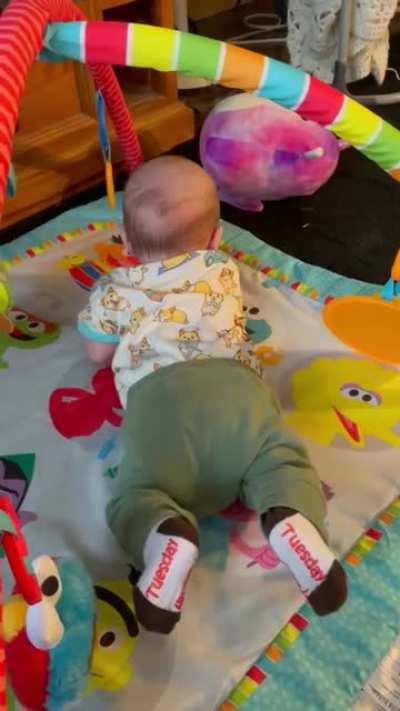 Some light-hearted scream for your Wednesday. My 11-week old this morning.