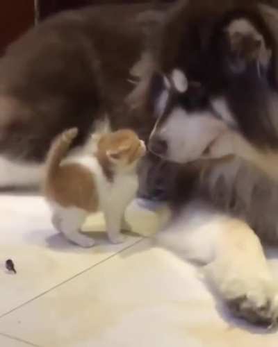 Любовь это...