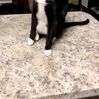Cheese challenge gone wrong