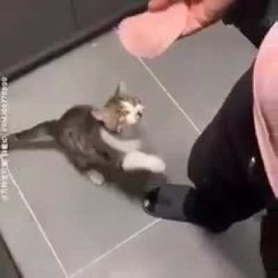 Kkkkkkkk