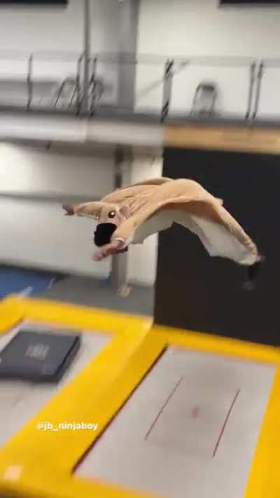 I'm a..squirrel!