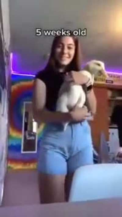 hmm