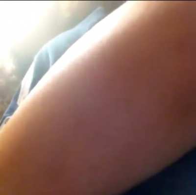vine 
