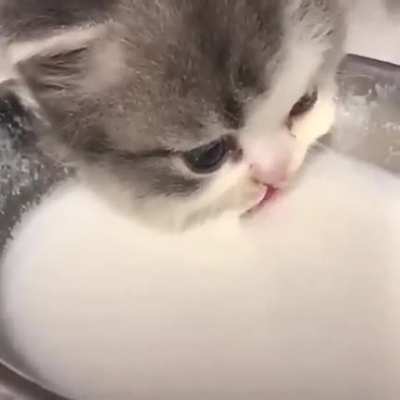 It's Milk time! (ASMR)