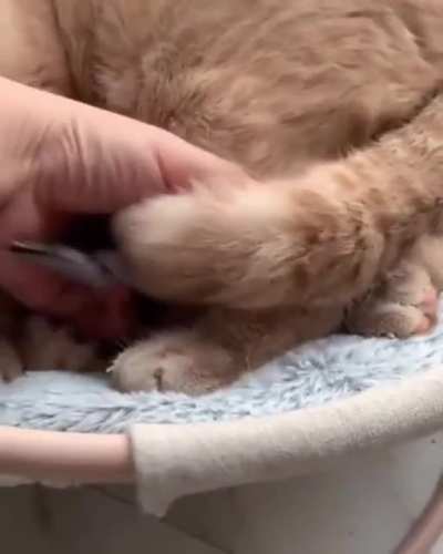 What have you got there?