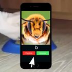 bee funny thief go jail وفاة لص النحل في السجن 😢😭