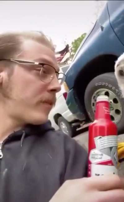 Baby Owl