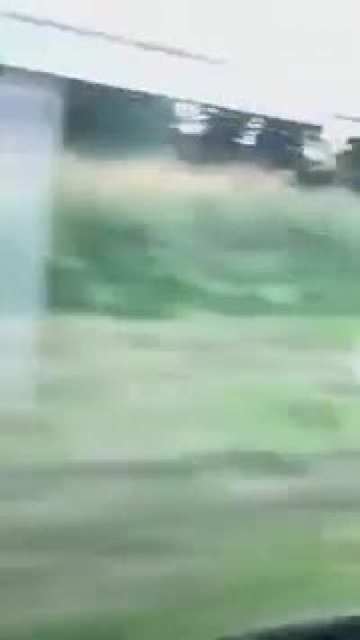 Harsh Yeet