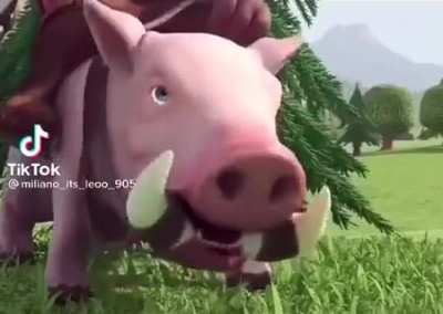 Hog Riderrrrrr
