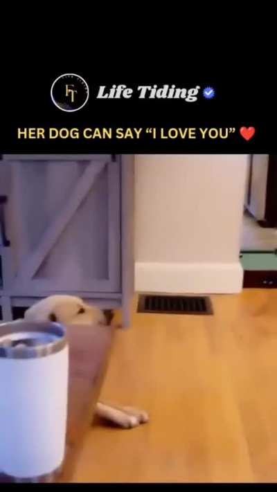 That's sweet.....