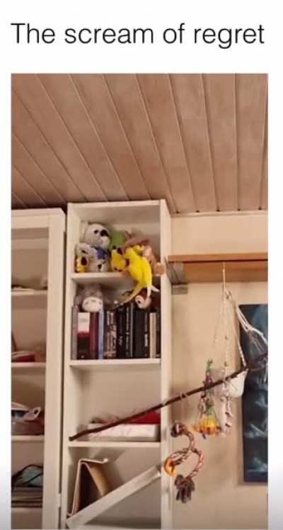 Don’t do it….
