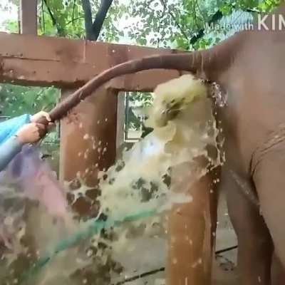 imagine that taste there