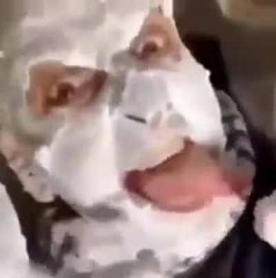 wtf