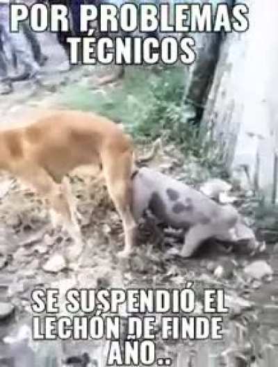 Se suspende señores
