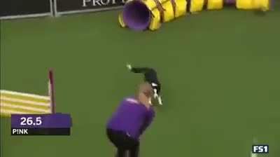 Finished 5.94 seconds faster than the next fastest dog. Look at its face at the beginning, its clearly on something