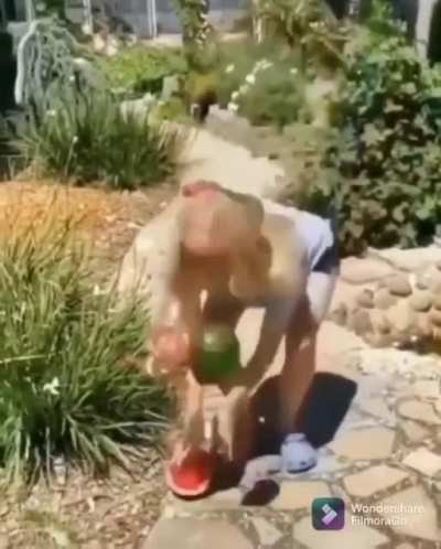 Breaking watermelon