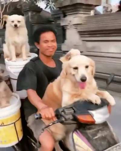 They all look so happy!