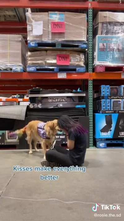 Wholesome dawg
